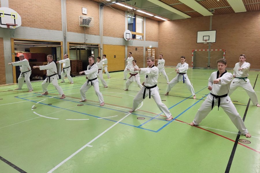 TKD_Erw_Faust
